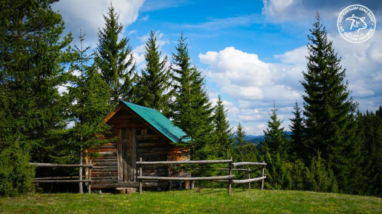 Eco Camp Drno Brdo Kosanica