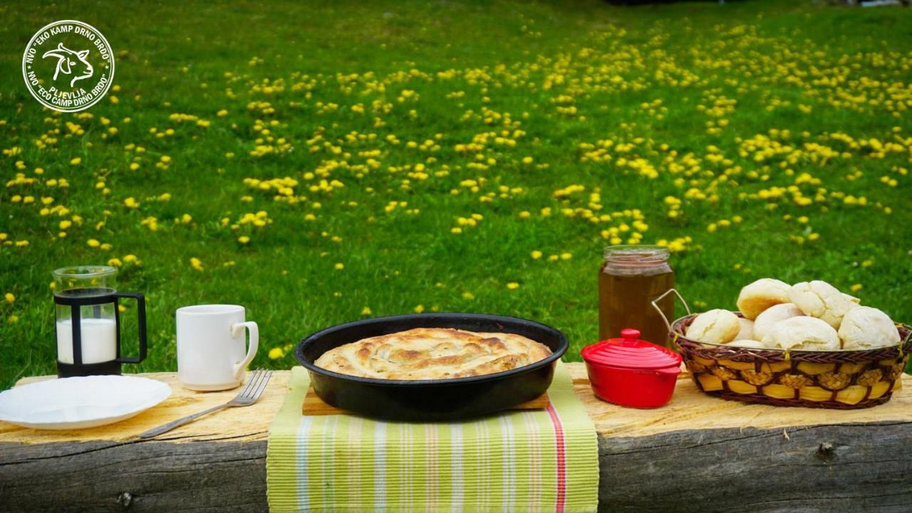 Eco Camp Drno Brdo 农家乐 Kosanica