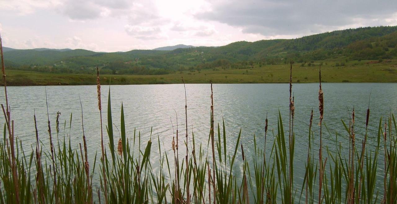 Eco Camp Drno Brdo *